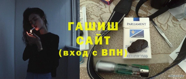 сатива Новозыбков