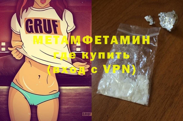 сатива Новозыбков