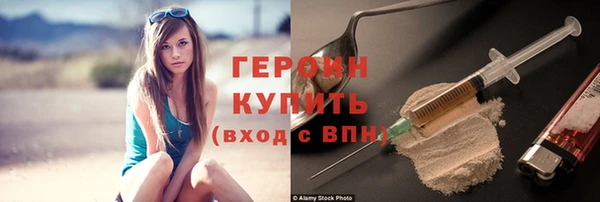 сатива Новозыбков