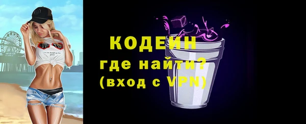 сатива Новозыбков