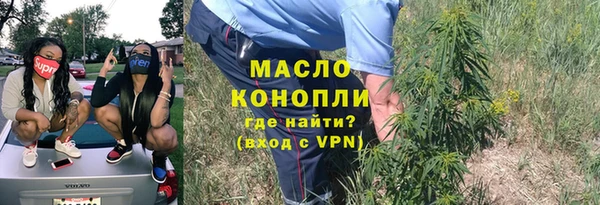 сатива Новозыбков