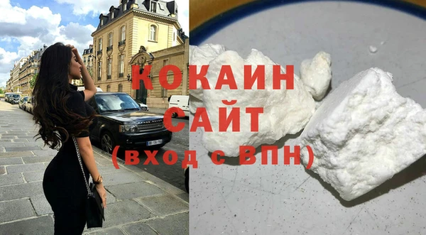сатива Новозыбков