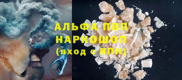 сатива Новозыбков