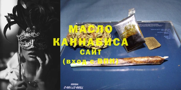сатива Новозыбков