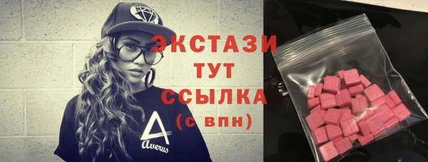 сатива Новозыбков