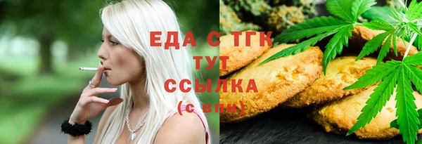 сатива Новозыбков